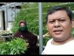 Uki rahman - CV GOODPLANT Indonesia