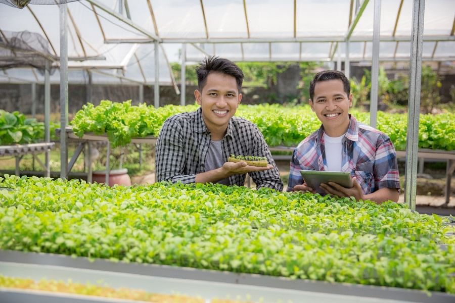 Tentang Kami - CV GOODPLANT Indonesia