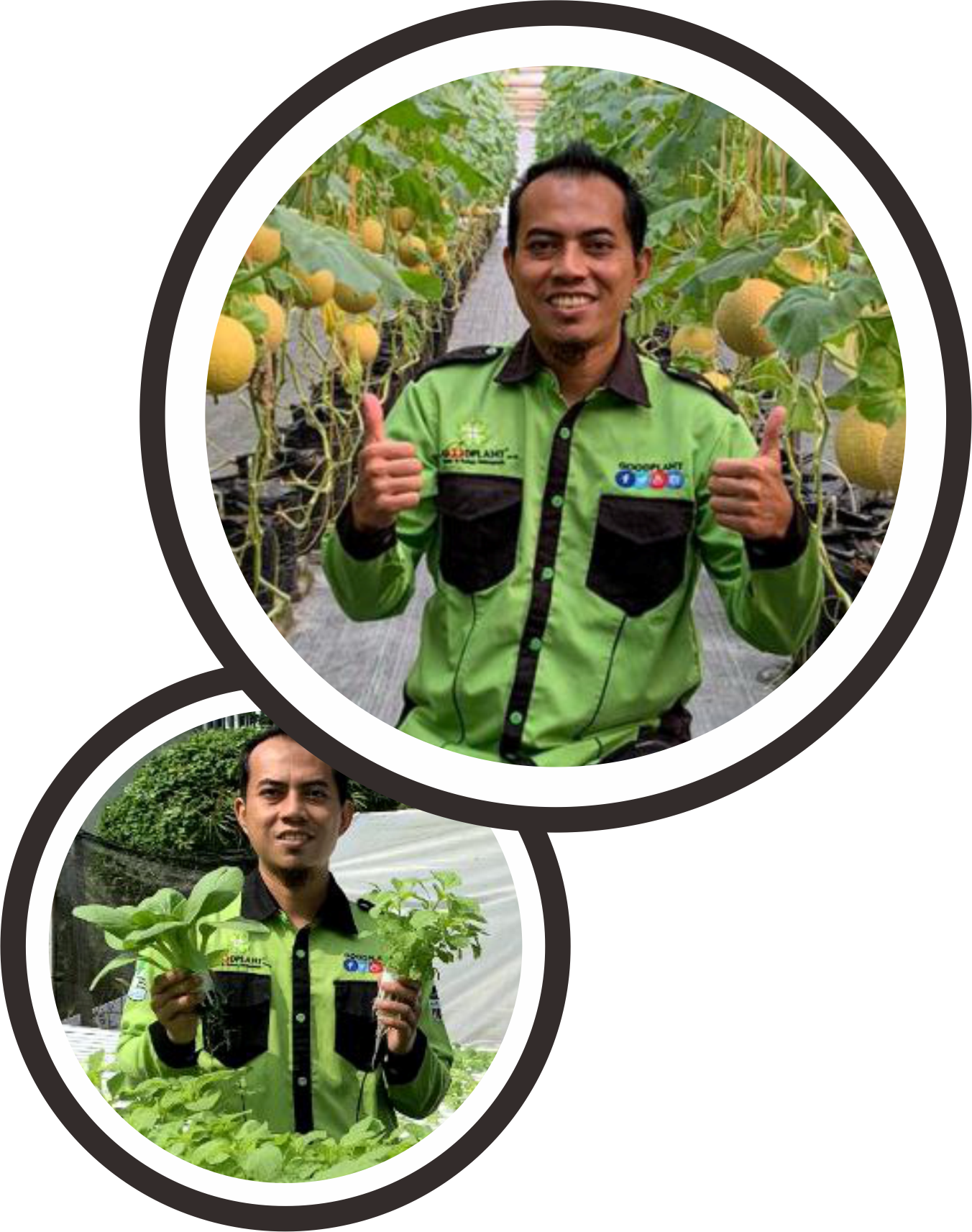 Pelatihan Hidroponik Melon OFFLINE Mei - PT. Sapto Bumi Hidroponik
