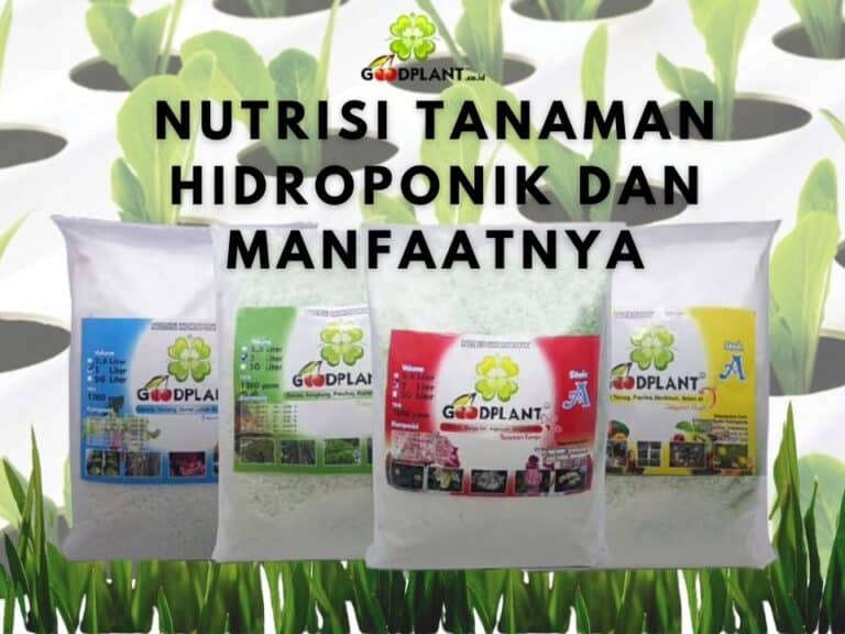 Nutrisi Tanaman Hidroponik dan Manfaat Positifnya - CV GOODPLANT Indonesia