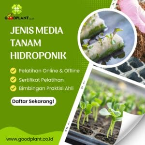 Jenis Media Tanam Hidroponik