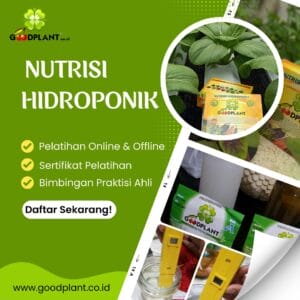 Nutrisi Hidroponik