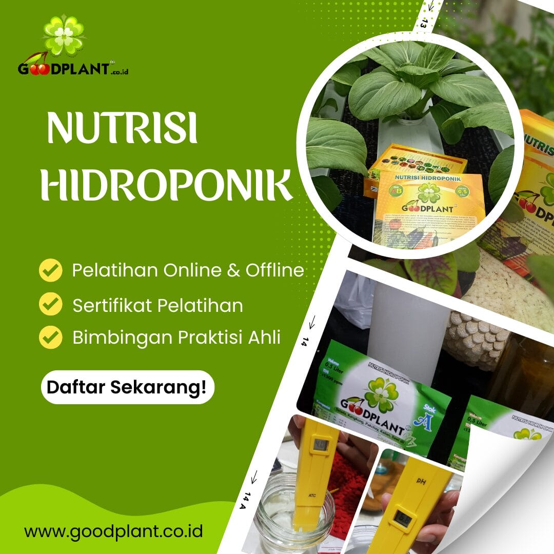 Apa itu Nutrisi Hidroponik dan Temukan Produk Berkualitas - CV GOODPLANT Indonesia Nutrisi Hidroponik