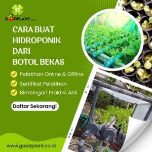 cara buat hidroponik dari botol bekas