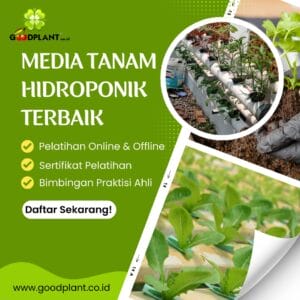 Media Tanam Hidroponik Terbaik