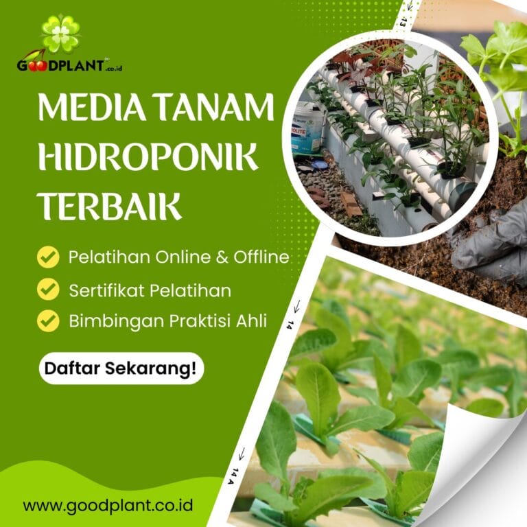 5 Media Tanam Hidroponik Terbaik agar Sayuran Tumbuh Subur - CV GOODPLANT Indonesia Media Tanam Hidroponik Terbaik
