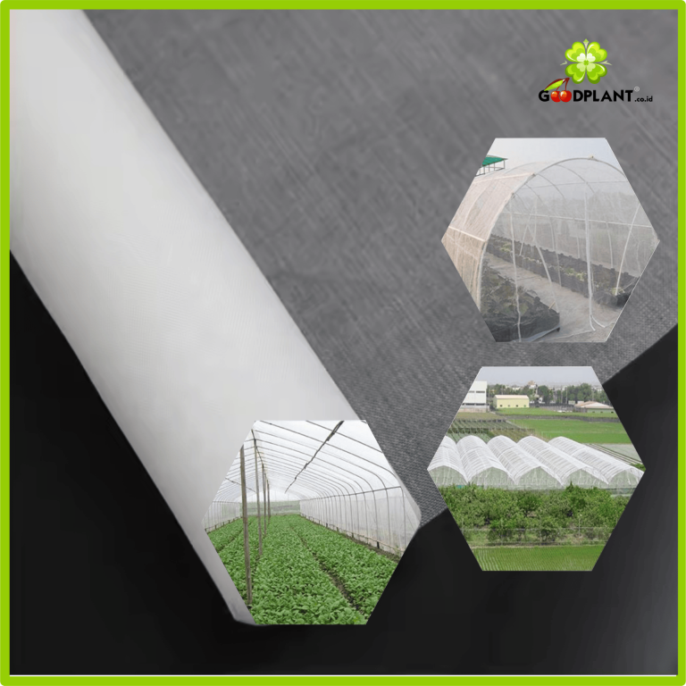 Mengenal Insect Net: Rahasia Tanaman Sehat dan Bebas Hama Tanpa Bahan Kimia - CV GOODPLANT Indonesia Mengenal Insect Net: Rahasia Tanaman Sehat dan Bebas Hama Tanpa Bahan Kimia - CV GOODPLANT Indonesia