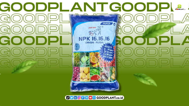 NPK 16 16 16