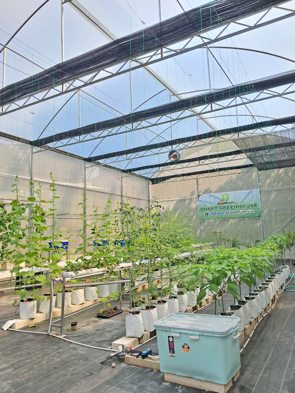 Ilustrasi Greenhouse