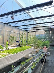 Smart Greenhouse GOODPLANT Indonesia
