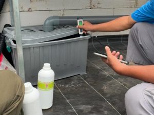 Tabel PPM Hidroponik