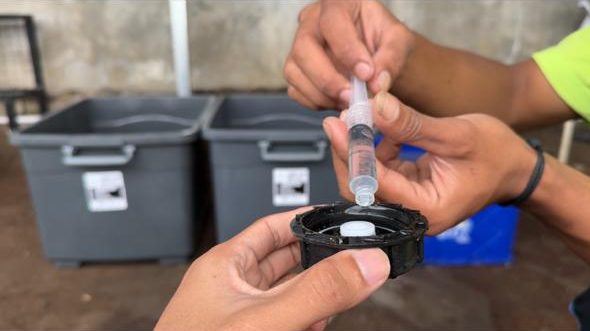 Oksigenasi dan Sanitasi: Panduan Praktis Hidrogen Peroksida dalam Hidroponik - CV GOODPLANT Indonesia