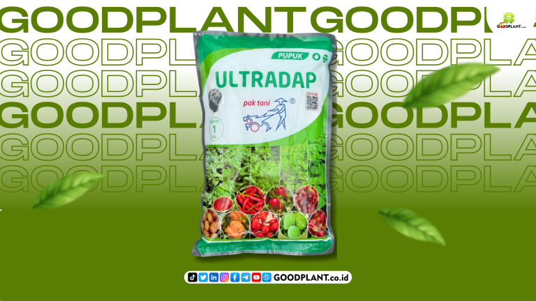 Ultradap