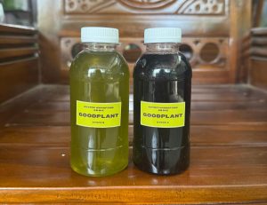 Analisis Kimiawi Larutan AB Mix: Mengapa Pekatan Nutrisi Hidroponik Harus Dipisah - CV GOODPLANT Indonesia Analisis Kimiawi Larutan AB Mix: Mengapa Pekatan Nutrisi Hidroponik Harus Dipisah - CV GOODPLANT Indonesia