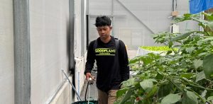 Pertanian Konvensional vs Hidroponik: Mana yang Paling Pas untuk Kebunmu? - CV GOODPLANT Indonesia Ilustrasi Bercocok Tanam