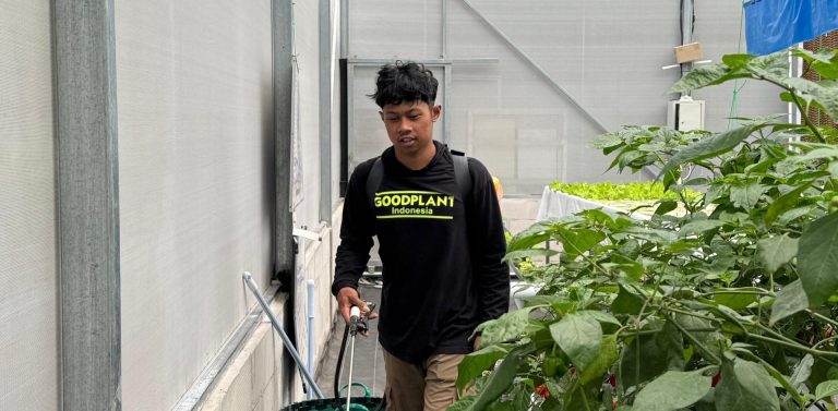 Ilustrasi Bercocok Tanam